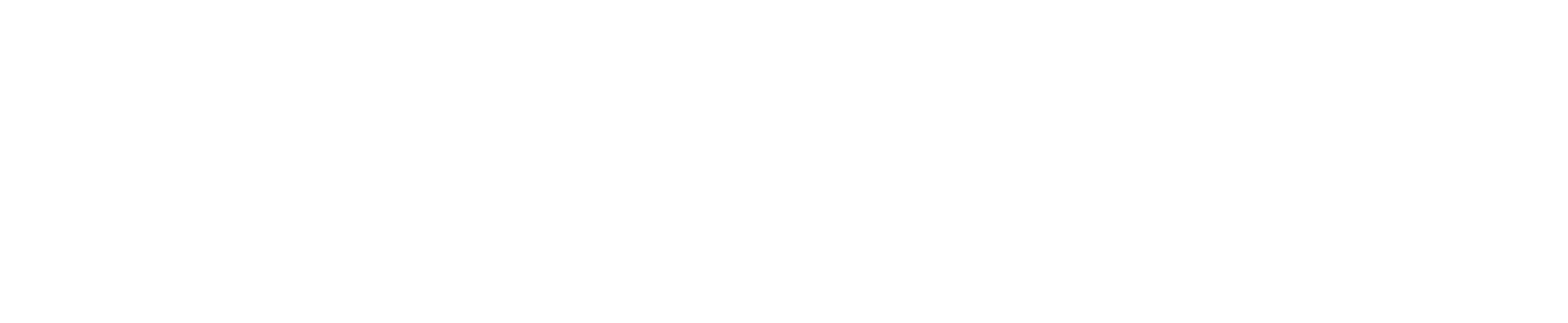 DKWeb v1.0
